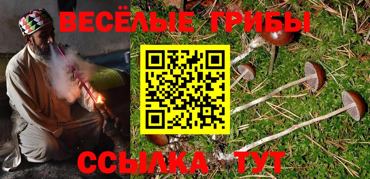 Копейск  Псилоцибиновые грибы Magic Shrooms  Вход с VPN 